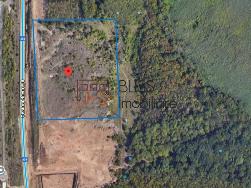 Photo 2 - BLISS Imobiliare