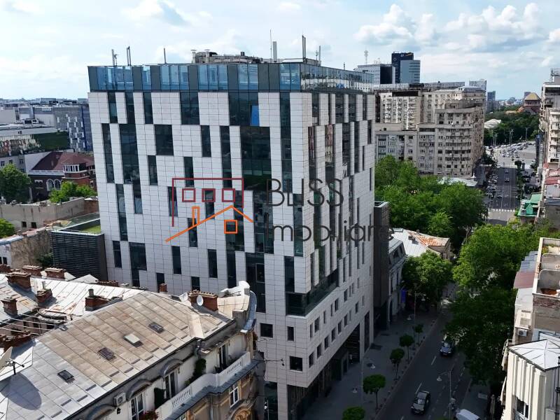 Office space for Rent Piata Victoriei, Bucharest - ID:142831 | Bliss Imobiliare / Photo 4 - BLISS Imobiliare
