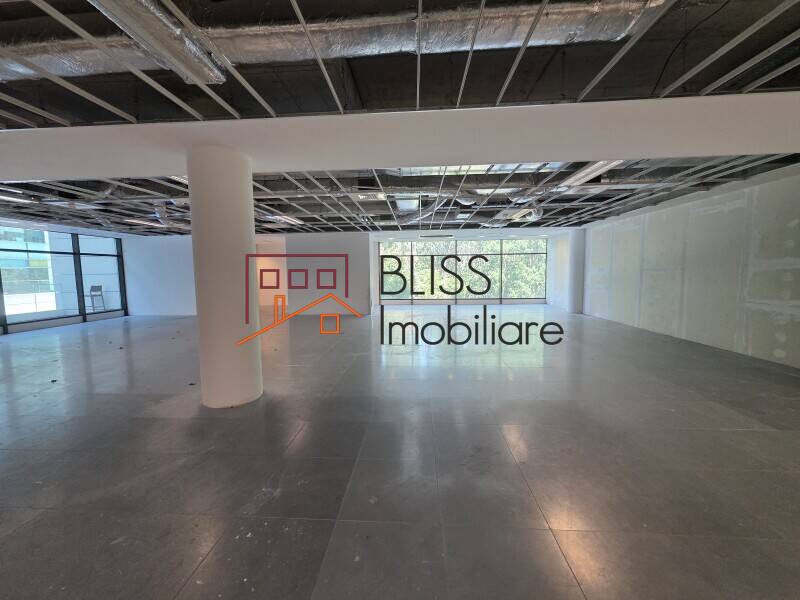 Office space for Rent Iancu Nicolae | Pipera, Bucharest - ID:142945 | Bliss Imobiliare / Photo 3 - BLISS Imobiliare