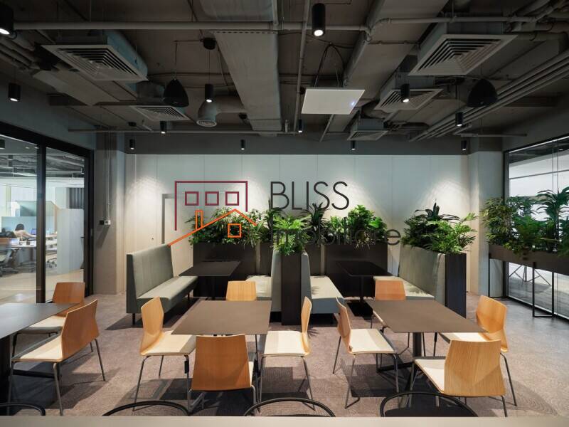 All-Inclusive Office | MASIA By COS, Bucharest | Bliss Imobiliare / Photo 10 - BLISS Imobiliare