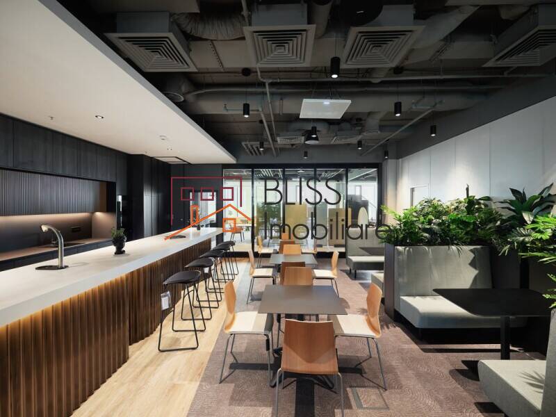 All-Inclusive Office | MASIA By COS, Bucharest | Bliss Imobiliare / Photo 13 - BLISS Imobiliare