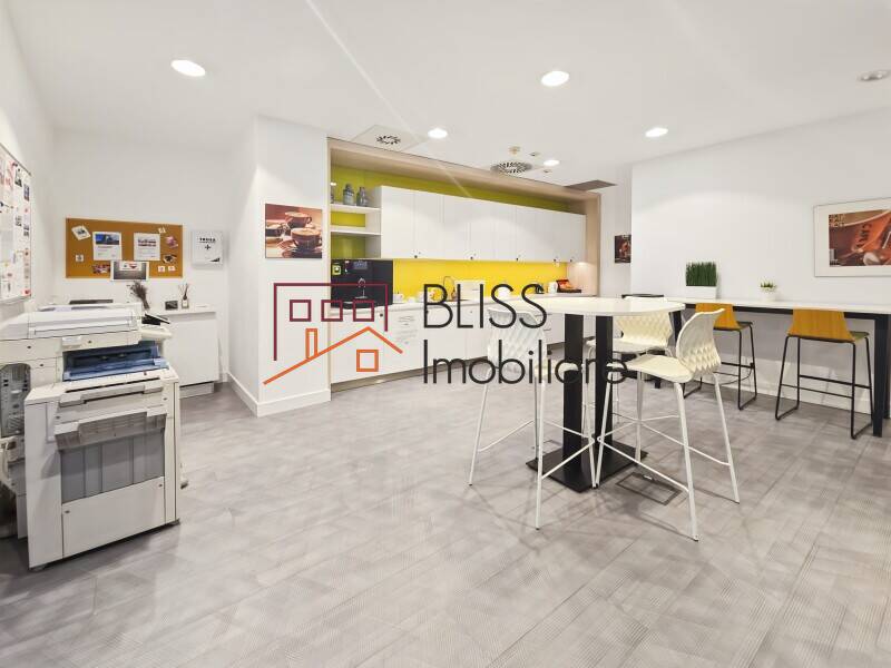 All-Inclusive Office Space, Bucharest | Bliss Imobiliare / Photo 12 - BLISS Imobiliare
