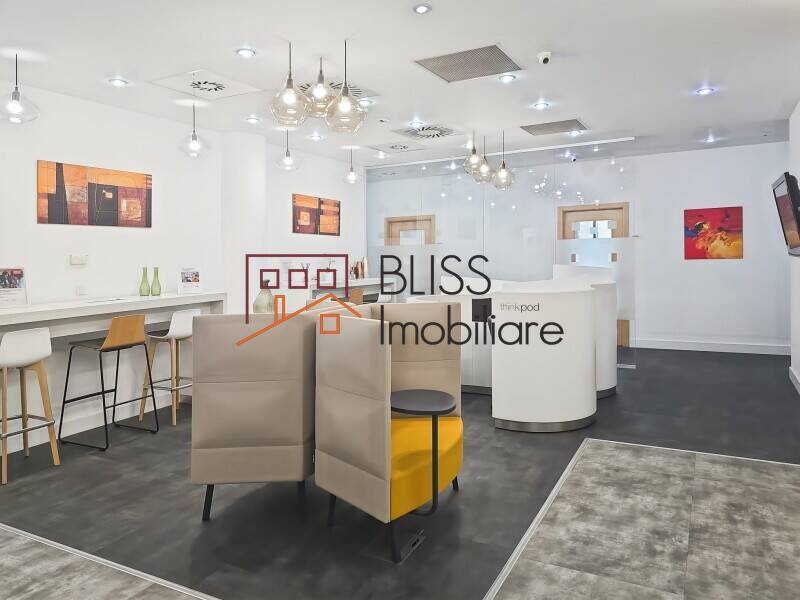All-Inclusive Office Space, Bucharest | Bliss Imobiliare / Photo 13 - BLISS Imobiliare