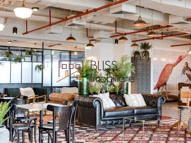 Spatiu De Birou All-inclusive | Bliss Imobiliare / Photo 7 - BLISS Imobiliare