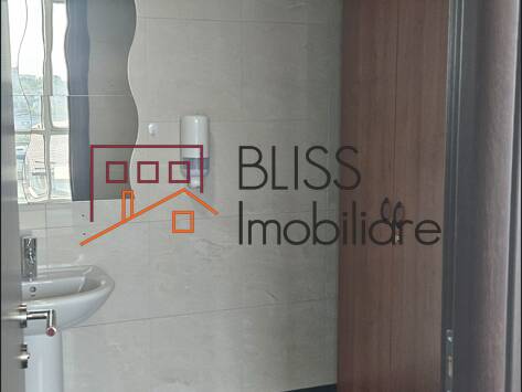 Office Space, Bucharest | Bliss Imobiliare / Photo 16 - BLISS Imobiliare