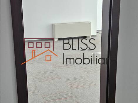 Office Space, Bucharest | Bliss Imobiliare / Photo 6 - BLISS Imobiliare