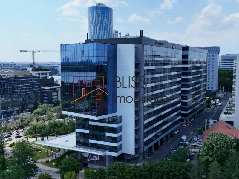 All-Inclusive Office Space, Bucharest | Bliss Imobiliare / Photo 3 - BLISS Imobiliare