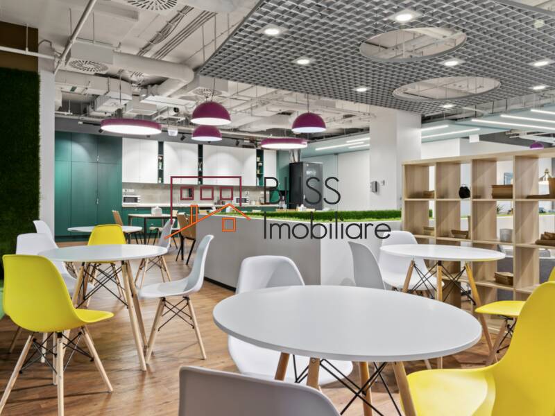 All-Inclusive Office Space, Bucharest | Bliss Imobiliare / Photo 16 - BLISS Imobiliare