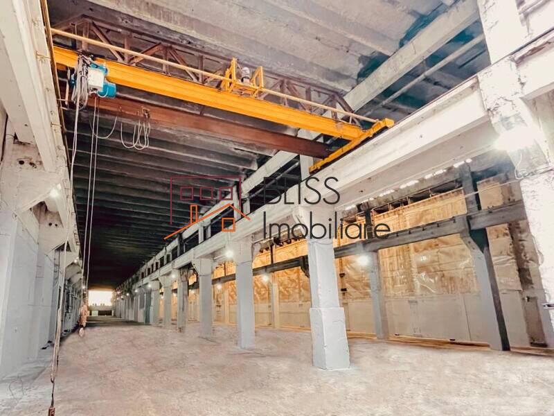 Spatiu Industrial / Logistica | Bliss Imobiliare / Photo 2 - BLISS Imobiliare