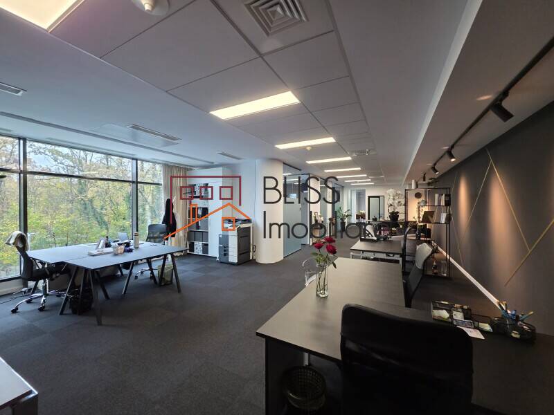 Office Space, Bucharest | Bliss Imobiliare / Photo 10 - BLISS Imobiliare