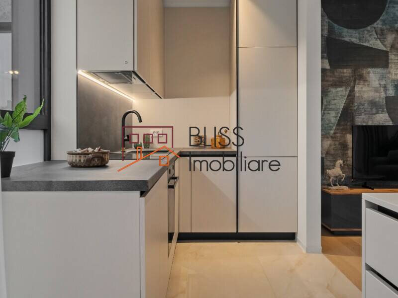 1-Bedroom Apartment One Lake Club – Furnished, Parking, Private Terrace, Bucharest | Bliss Imobiliare / Photo 4 - BLISS Imobiliare