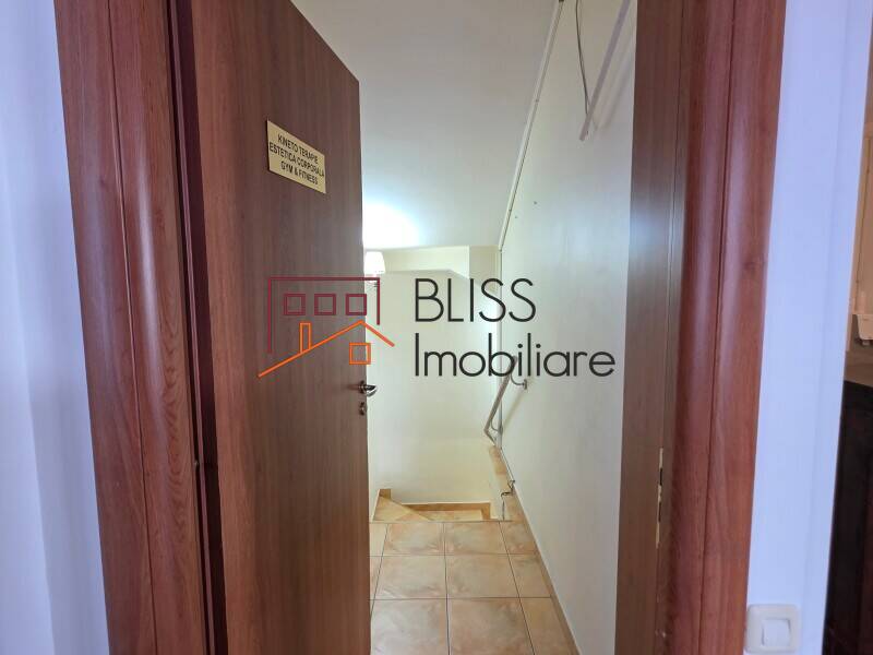 Nordului Herastrau Villa 12 Rooms Residential Commercial, Bucharest | Bliss Imobiliare / Photo 11 - BLISS Imobiliare
