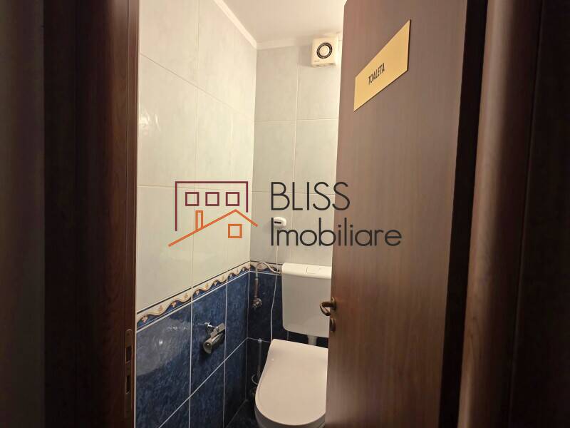 Nordului Herastrau Villa 12 Rooms Residential Commercial, Bucharest | Bliss Imobiliare / Photo 16 - BLISS Imobiliare