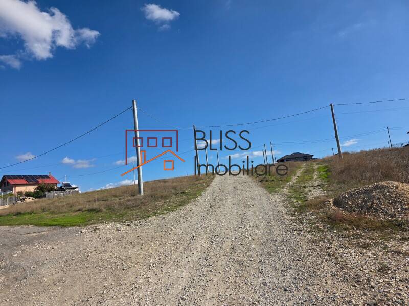 Casa 4 Camere Corbu, Langa Lacul Corbu Si Mare, 3 Locuri Parcare | Bliss Imobiliare / Photo 19 - BLISS Imobiliare