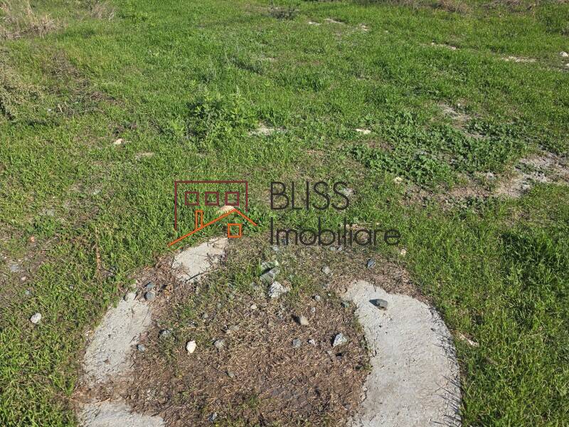 Photo 20 - BLISS Imobiliare