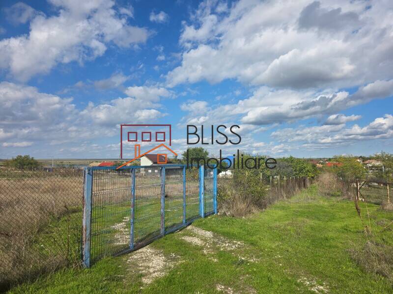 Photo 13 - BLISS Imobiliare
