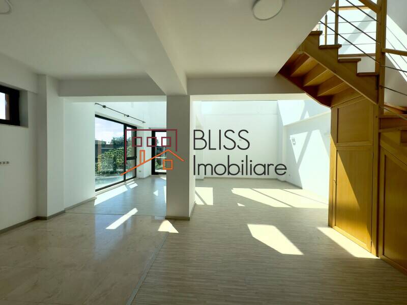 Spatiu De Birouri Duplex Cu Terasa Si 3 Parcari | Bliss Imobiliare / Photo 3 - BLISS Imobiliare