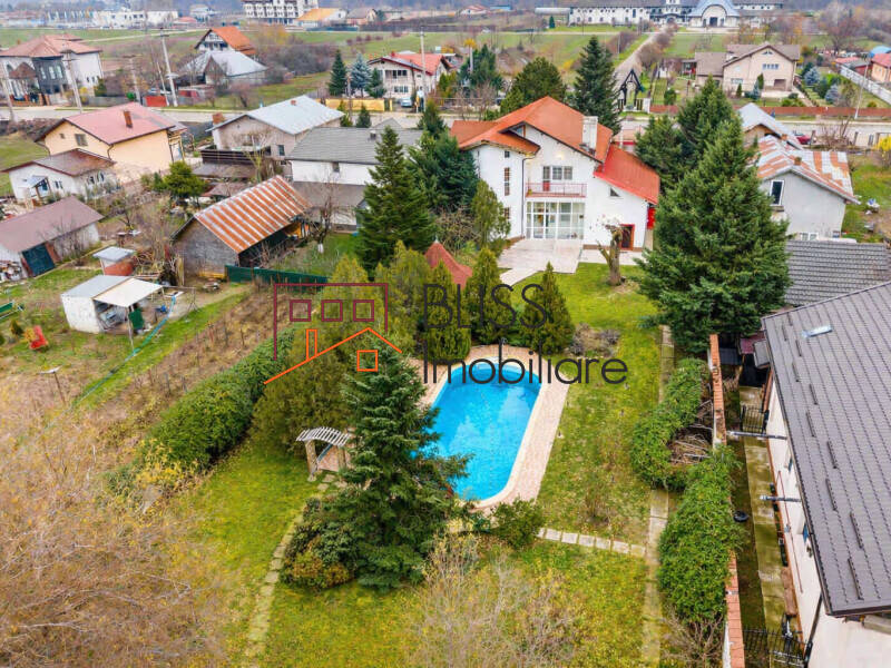 5-Bedroom Villa With Pool And Spacious Garden, Bucharest / Ilfov | Bliss Imobiliare / Photo 7 - BLISS Imobiliare