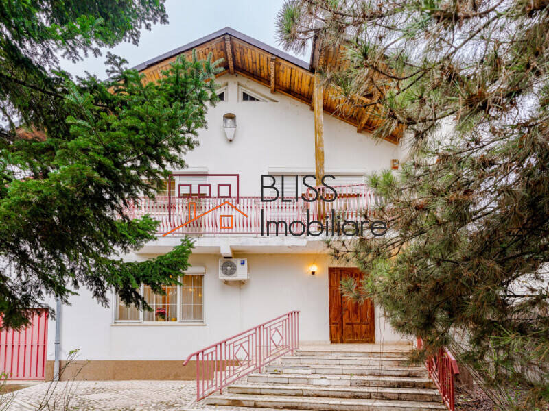 5-Bedroom Villa With Pool And Spacious Garden, Bucharest / Ilfov | Bliss Imobiliare / Photo 29 - BLISS Imobiliare