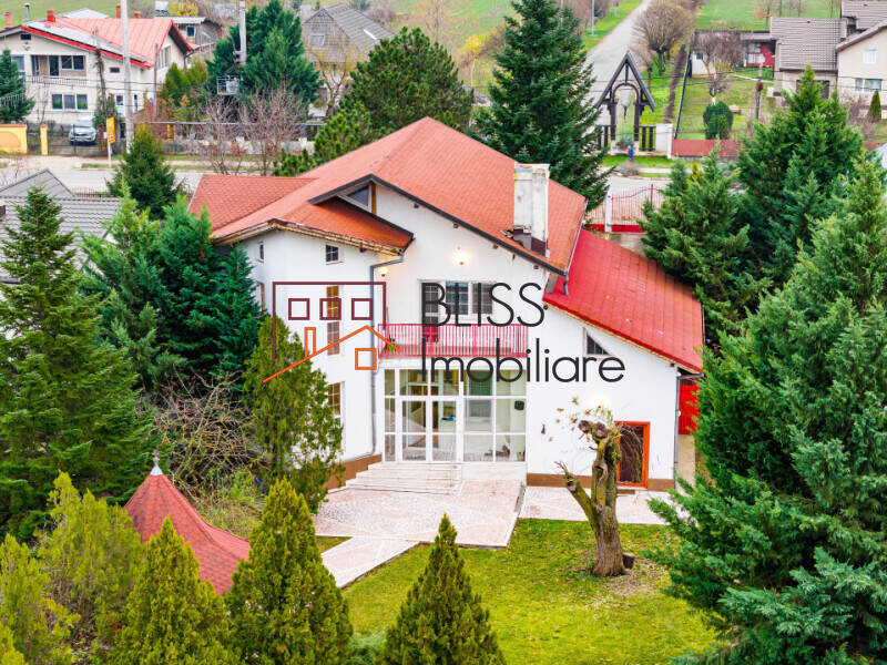Vila 7 Camere Cu Piscina Si Teren Generos | Bliss Imobiliare / Photo 30 - BLISS Imobiliare