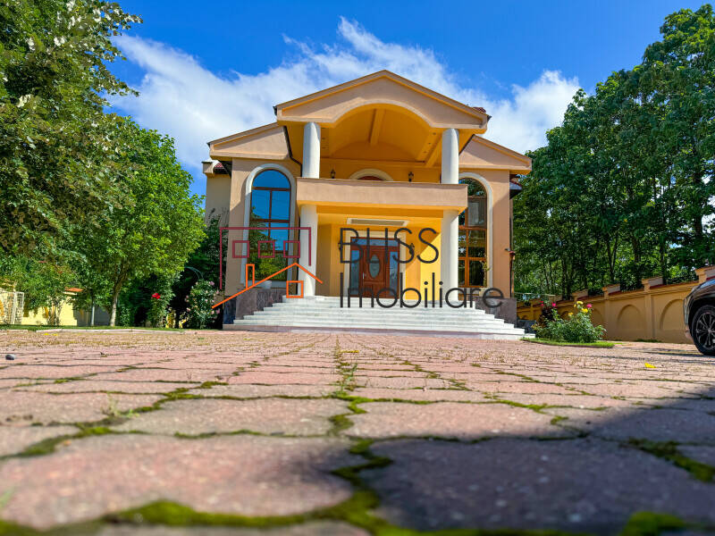 Conac Victorian, 9 Dormitoare, Piscine Interioara-exterioara, Pipera | Bliss Imobiliare / Photo 9 - BLISS Imobiliare