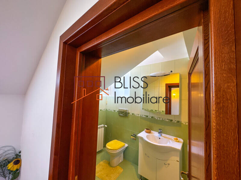 Victorian Manor Villa, 9 Bedrooms, Heated Indoor-outdoor Pools, Pipera, Bucharest / Ilfov | Bliss Imobiliare / Photo 37 - BLISS Imobiliare