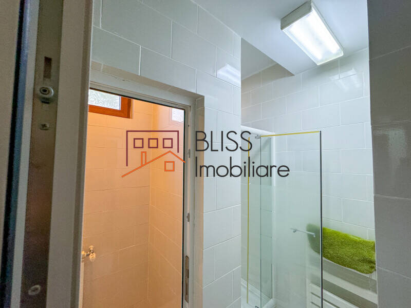 Victorian Manor Villa, 9 Bedrooms, Heated Indoor-outdoor Pools, Pipera, Bucharest / Ilfov | Bliss Imobiliare / Photo 57 - BLISS Imobiliare