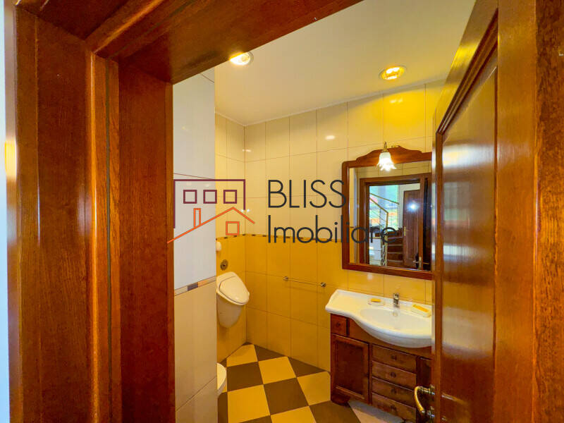 Victorian Manor Villa, 9 Bedrooms, Heated Indoor-outdoor Pools, Pipera, Bucharest / Ilfov | Bliss Imobiliare / Photo 45 - BLISS Imobiliare