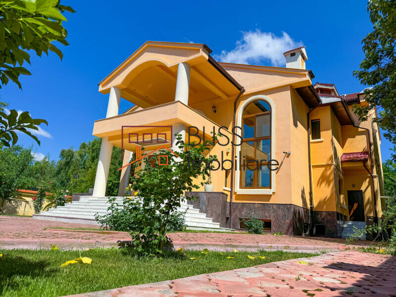 Conac Victorian, 9 Dormitoare, Piscine Interioara-exterioara, Pipera | Bliss Imobiliare / Photo 8 - BLISS Imobiliare