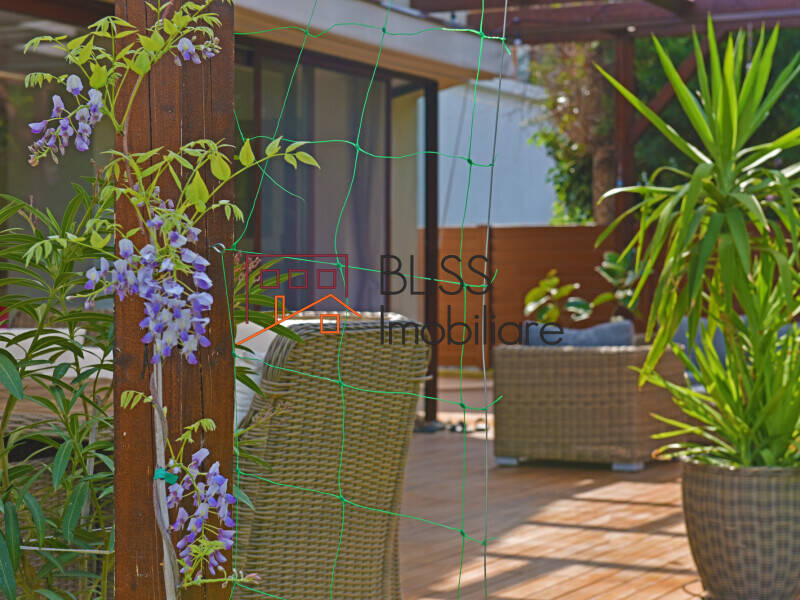 Vila Individuala Cu Gradina Pentru Familie Sau Business | Bliss Imobiliare / Photo 5 - BLISS Imobiliare