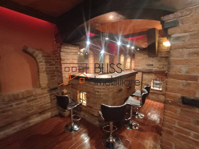 Exclusive Villa With 8 Bedrooms And Private Pool, Bucharest / Ilfov | Bliss Imobiliare / Photo 15 - BLISS Imobiliare