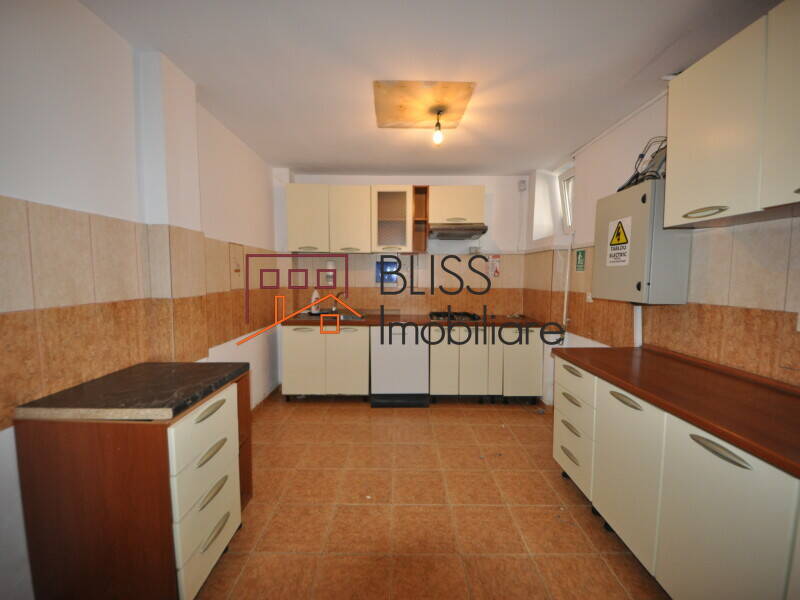 Vila 10 Camere Herastrau – 400 Mp, Gradina 280 Mp, Renovata 2022 | Bliss Imobiliare / Photo 48 - BLISS Imobiliare
