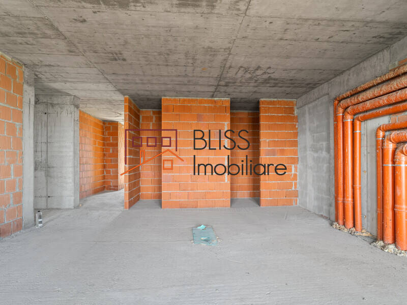 Duplex Penthouse Cloud9 – 370 Sqm, Shell Condition, 8-12 Parking, Bucharest | Bliss Imobiliare / Photo 14 - BLISS Imobiliare