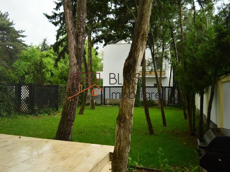 Villa for Rent Iancu Nicolae | Pipera, Bucharest / Ilfov - 5 Bedroom - ID:31061 | Bliss Imobiliare / Photo 68 - BLISS Imobiliare