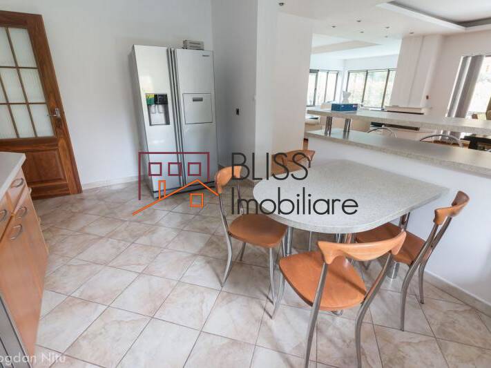 Casa de Inchiriat Iancu Nicolae | Pipera - 6 Camere - ID:4374 | Bliss Imobiliare / Photo 13 - BLISS Imobiliare