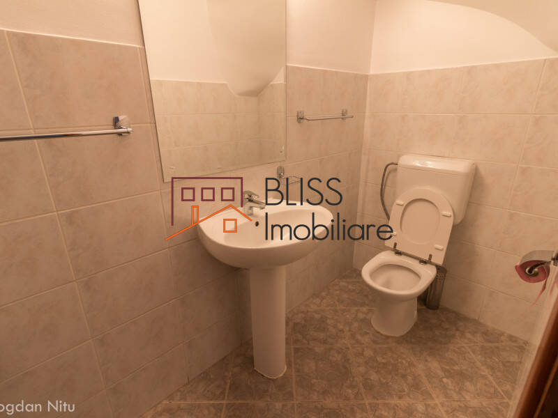 House for Rent Iancu Nicolae | Pipera, Bucharest / Ilfov - 5 Bedroom - ID:4374 | Bliss Imobiliare / Photo 22 - BLISS Imobiliare