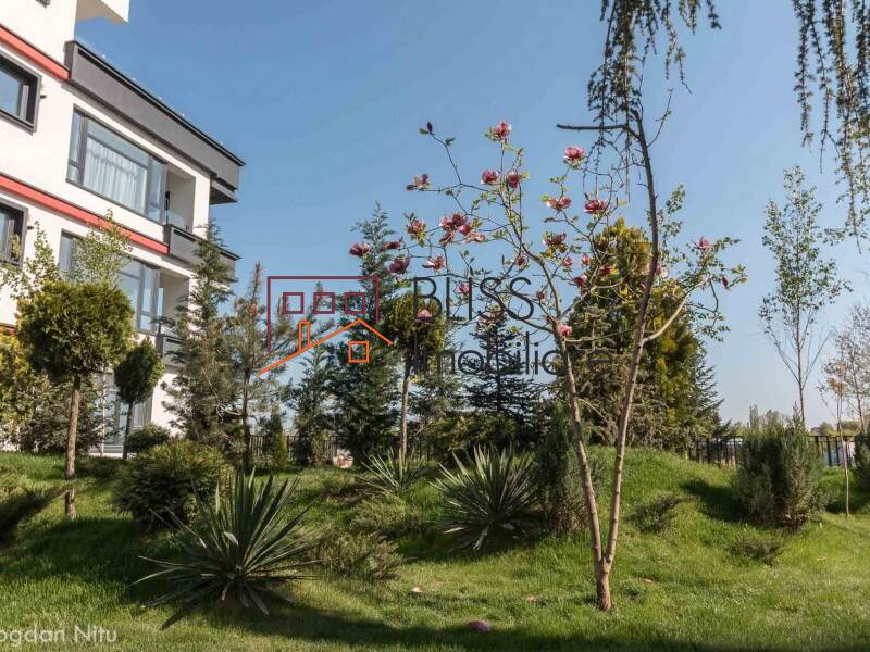 Photo 2 - BLISS Imobiliare