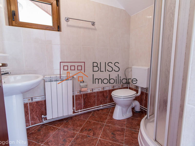 5 Bedroom Villa Iancu Nicolae, Bucharest / Ilfov | Bliss Imobiliare / Photo 28 - BLISS Imobiliare