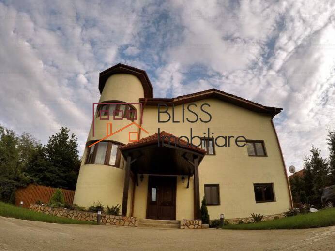 Vila Cu 6 Camere In Pipera | Bliss Imobiliare / Photo 20 - BLISS Imobiliare