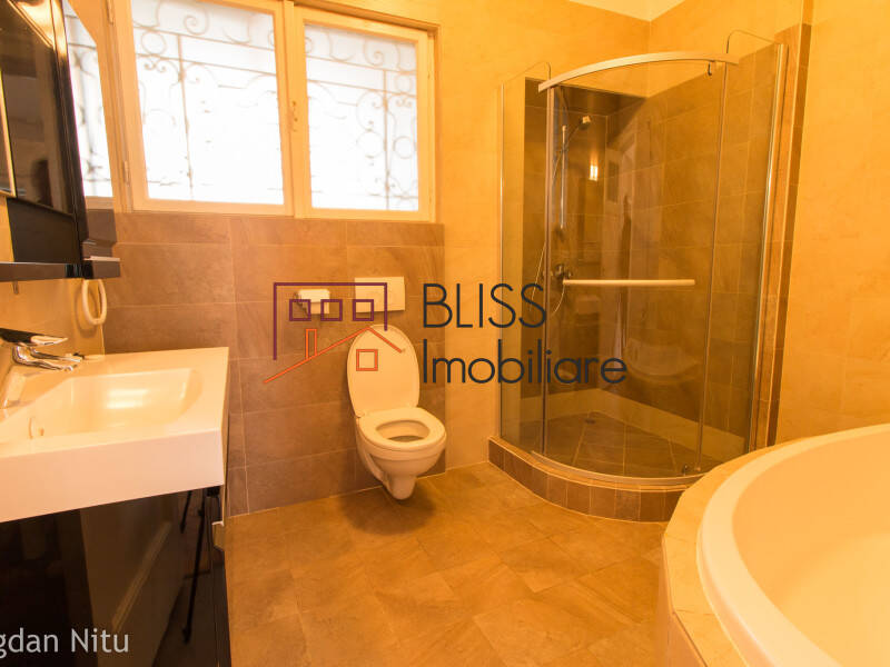 Casa de Inchiriat Dorobanti | Primaverii | Kiseleff | Aviatorilor - 12 Camere - ID:2049 | Bliss Imobiliare / Photo 49 - BLISS Imobiliare