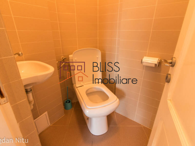 House for Rent Dorobanti | Primaverii | Kiseleff | Aviatorilor, Bucharest - 5 Bedroom - ID:2049 | Bliss Imobiliare / Photo 63 - BLISS Imobiliare