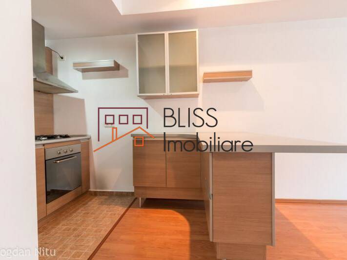 Apartment With Herastrau Park View, Bucharest | Bliss Imobiliare / Photo 4 - BLISS Imobiliare
