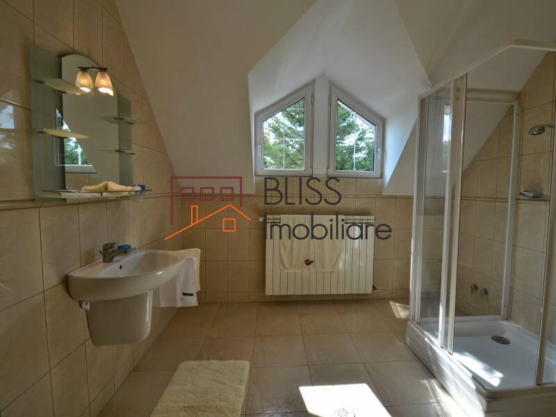 Spacious Villa For Rent Near American School - Large Garden & Parking, Bucharest / Ilfov | Bliss Imobiliare / Photo 19 - BLISS Imobiliare