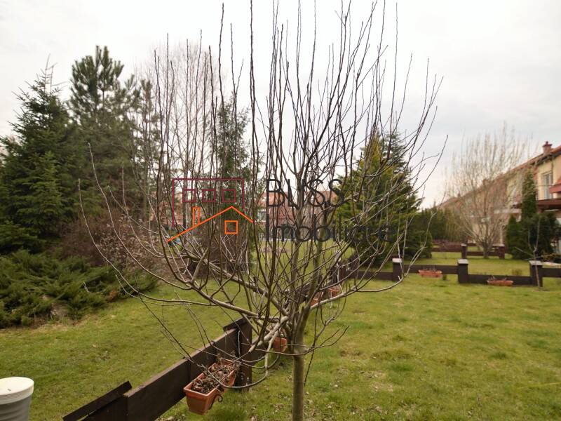 Vila Cu 7 Camere Ibiza | Bliss Imobiliare / Photo 42 - BLISS Imobiliare