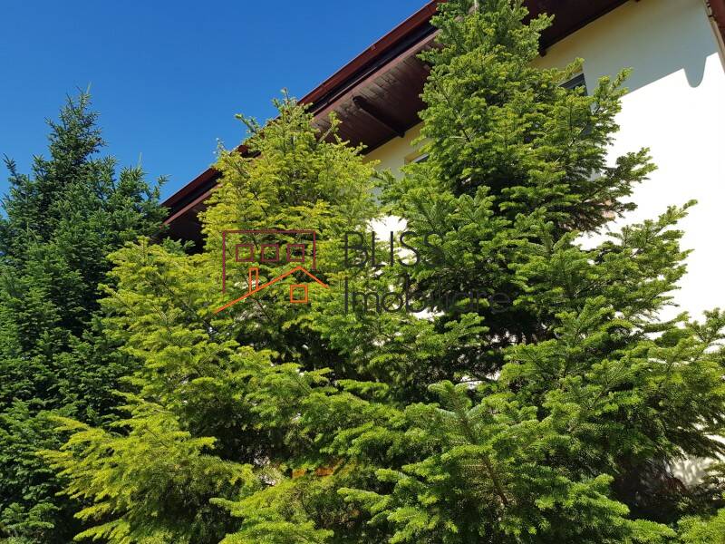 Villa for Rent Iancu Nicolae | Pipera, Bucharest / Ilfov - 5 Bedroom - ID:52153 | Bliss Imobiliare / Photo 18 - BLISS Imobiliare