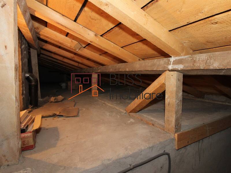 Casa Eleganta In Piata Victoriei – Ideala Locuinta Sau Birou | Bliss Imobiliare / Photo 26 - BLISS Imobiliare