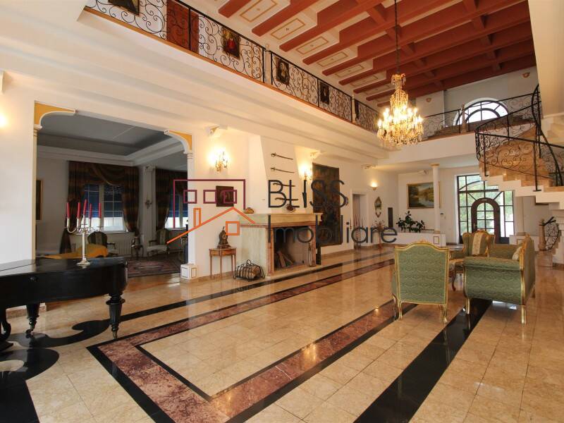 Vila de Vanzare Iancu Nicolae | Pipera - 10 Camere - ID:58989 | Bliss Imobiliare / Photo 2 - BLISS Imobiliare