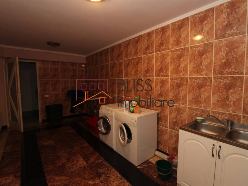 Vila de Vanzare Iancu Nicolae | Pipera - 10 Camere - ID:58989 | Bliss Imobiliare / Photo 50 - BLISS Imobiliare