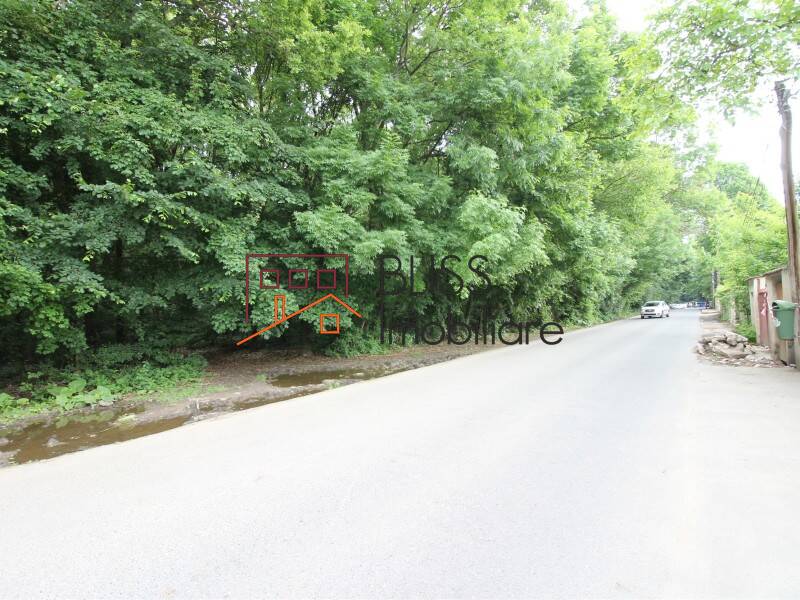 Vila de Vanzare Iancu Nicolae | Pipera - 9 Camere - ID:71566 | Bliss Imobiliare / Photo 58 - BLISS Imobiliare