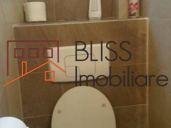 Casa de Inchiriat Dorobanti | Primaverii | Kiseleff | Aviatorilor - 12 Camere - ID:2049 | Bliss Imobiliare / Photo 60 - BLISS Imobiliare
